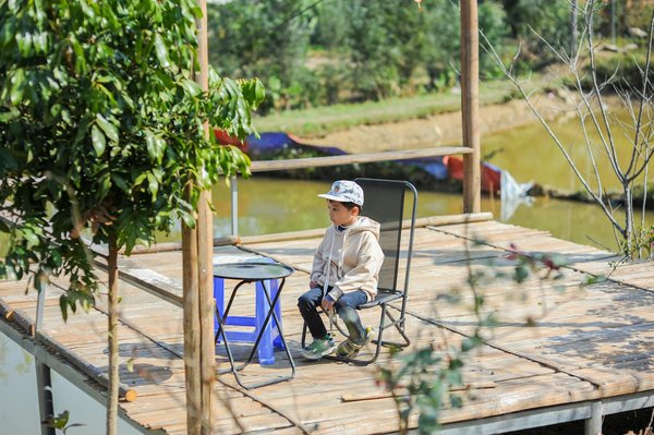 L'œuvre de mr doodle : une exploration captivante